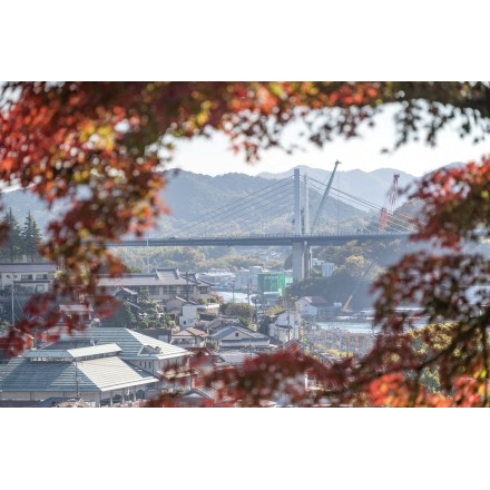 紅葉越しに見るしまなみ海道新尾道大橋