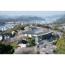 千光寺公園頂上展望台から見る桜風景