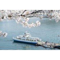 桜越しに見る尾道渡船の桟橋