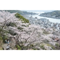 桜越しに見る尾道市街地
