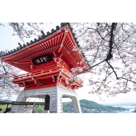 千光寺鐘楼と桜