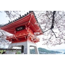 千光寺鐘楼と桜