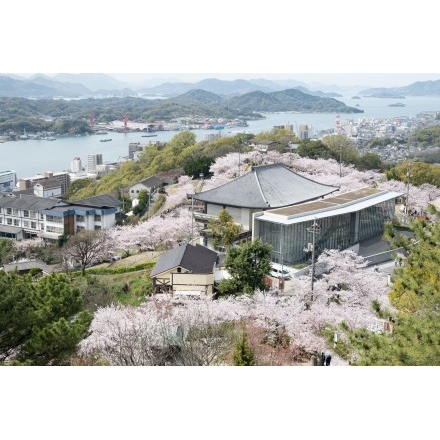 桜満開の千光寺公園