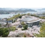 桜満開の千光寺公園