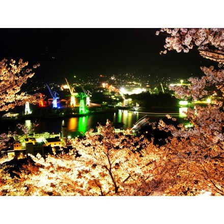 千光寺公園の夜桜