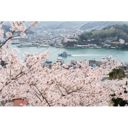 千光寺公園の桜越しの風景