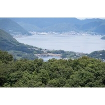 観音山から見る瀬戸田港一帯の風景