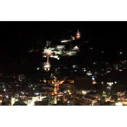 岩屋山から見る西國寺一帯の夜景