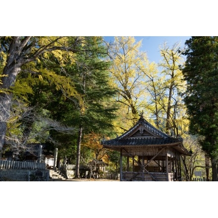 大蔵地区・艮神社の紅葉