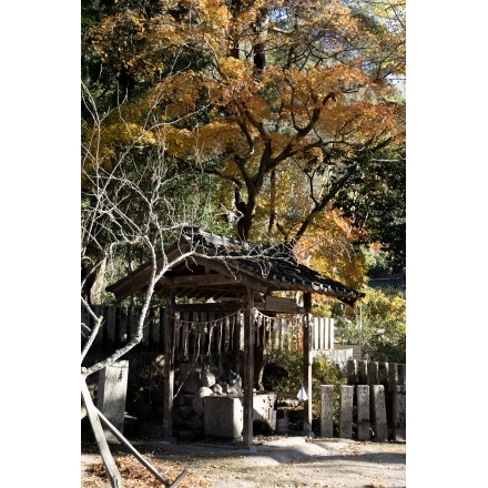 大蔵地区・艮神社の紅葉