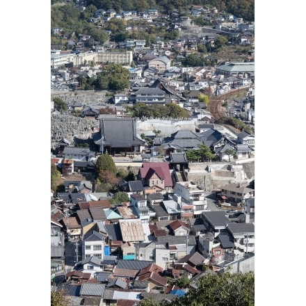 千光寺から見る福善寺一帯の風景