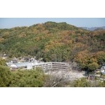 千光寺から見る西國寺山の紅葉
