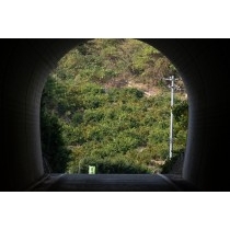 内の浦トンネルから見る柑橘畑