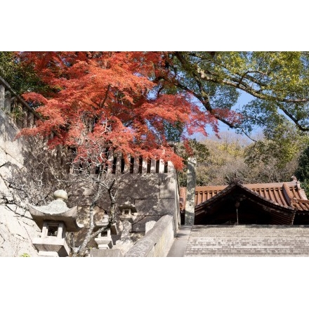 御袖天満宮の紅葉