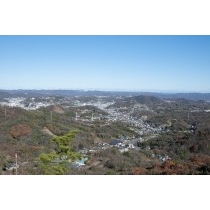 高見山から見る向島の街並み