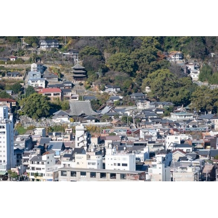 岩屋山から見る天寧寺周辺の街並み