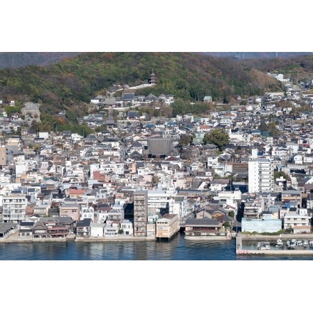 岩屋山から見る西國寺一帯の街並み