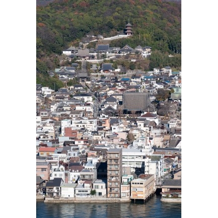 岩屋山から見る西國寺一帯の街並み