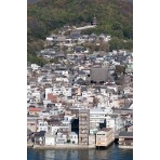 岩屋山から見る西國寺一帯の街並み