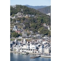 岩屋山から見る天寧寺・千光寺一帯の風景