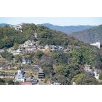 岩屋山から見る天寧寺・千光寺一帯の風景