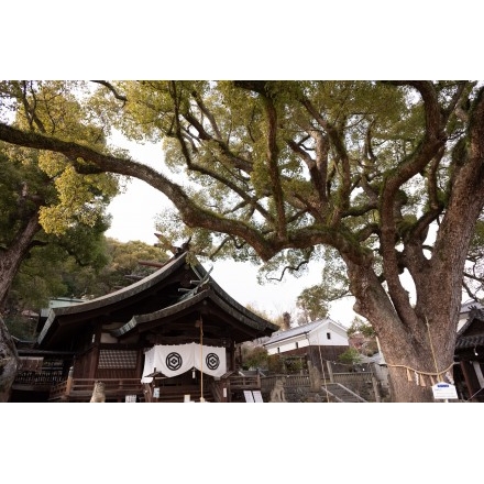 No.6962 冬の艮神社