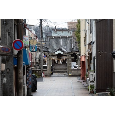 No.6977 八坂神社参道の風景