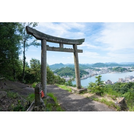 浄土寺山登山道の鳥居