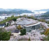 桜咲く千光寺公園