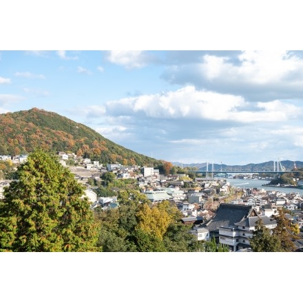 紅葉に染まる浄土寺山と尾道市街地