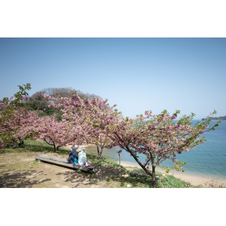 船隠し公園の春風景