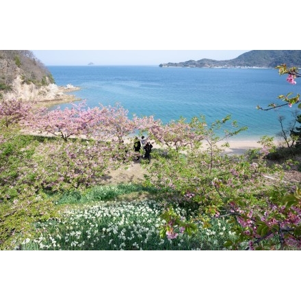船隠し公園の春風景