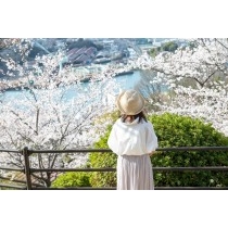 千光寺公園の花見