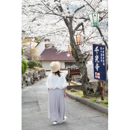 千光寺公園の花見
