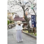 千光寺公園の花見