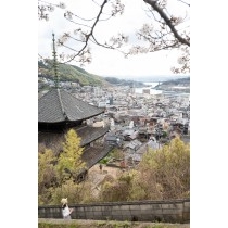 天寧寺三重塔越しの野道市街地