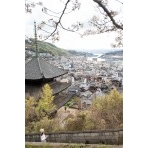 天寧寺三重塔越しの野道市街地