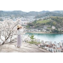 鼓岩と桜