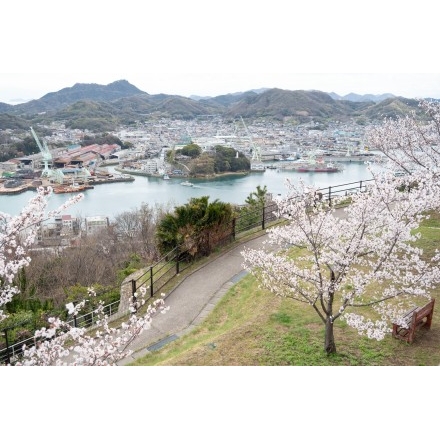 桜満開の千光寺公園から見る尾道水道