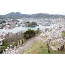桜満開の千光寺公園から見る尾道水道