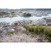 桜満開の千光寺公園から見る尾道駅前