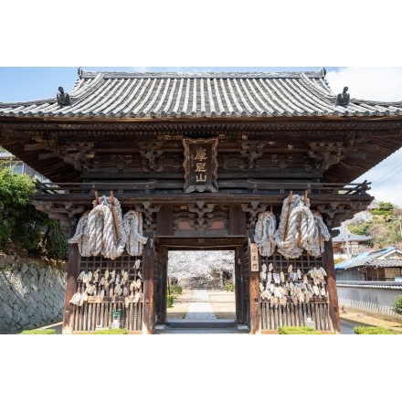 春の西國寺仁王門