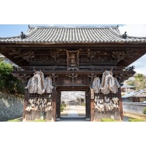 春の西國寺仁王門