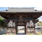 春の西國寺仁王門