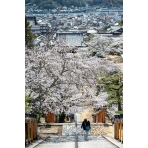 桜咲く西國寺参道