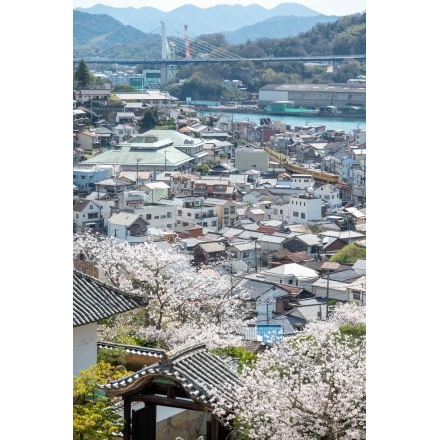 西國寺の桜越しに見る尾道市街地