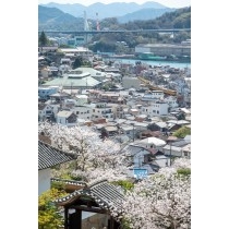 西國寺の桜越しに見る尾道市街地
