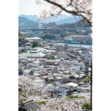 西國寺の桜越しに見る尾道市街地