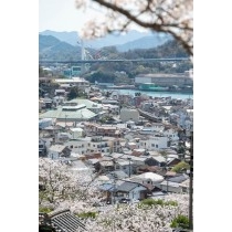 西國寺の桜越しに見る尾道市街地