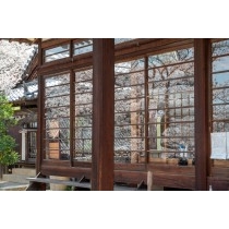 持善院のガラス戸に映る桜